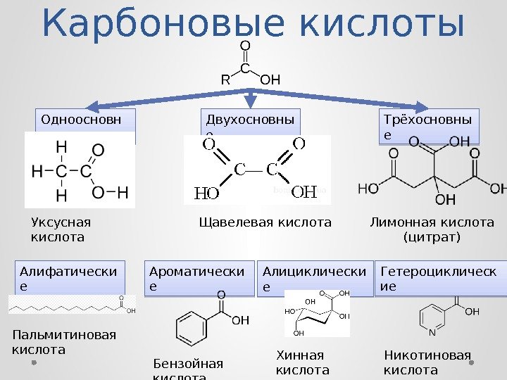 Какое соединение относится. Трехосновные карбоновые кислоты. Трехосновная карбоновая кислота. Лимонная карбоновая кислота. Карбоновые кислоты лимонная кислота.