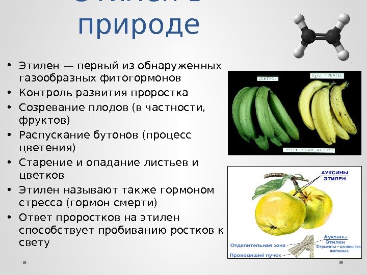 Этилен характеристика. Этилен в фруктах. Этилен в овощах. Применение этилена таблица. Этилен в природе.