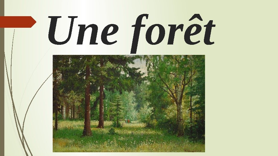 Une forêt    