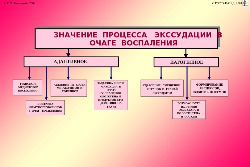   ЗНАЧЕНИЕ ПРОЦЕССА  ЭКССУДАЦИИ В ОЧАГЕ ВОСПАЛЕНИЯ АДАПТИВНОЕ ПАТОГЕННОЕ ТРАНСПОРТ МЕДИАТОРОВ ВОСПАЛЕНИЯ ДОСТАВКА ИММУНОГЛОБУЛИНОВ