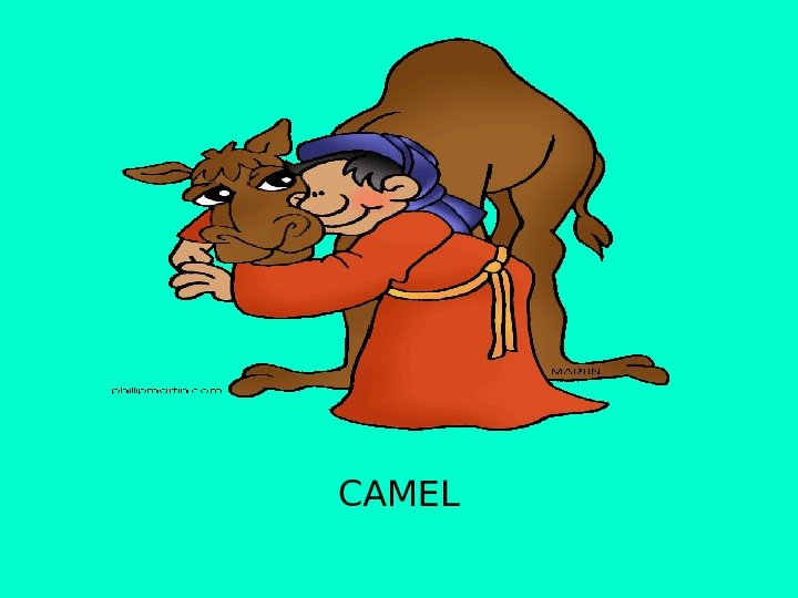 CAMEL 