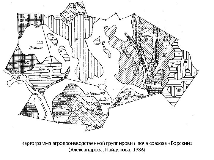 Картограмма агропроизводственной группировки почв совхоза «Борский» (Александрова, Найденова, 1986) 