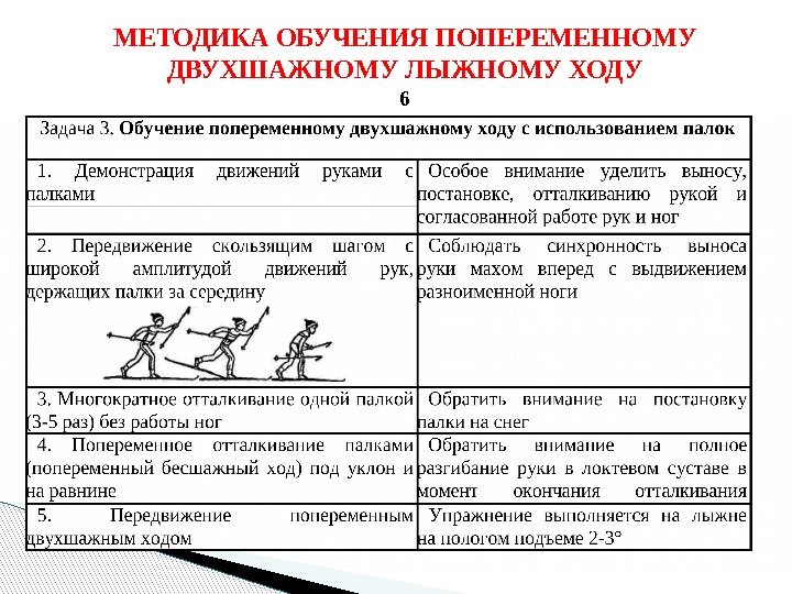 Фазы попеременного двухшажного хода на лыжах