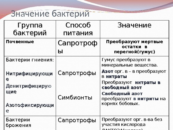 Группы бактерий 3 класс