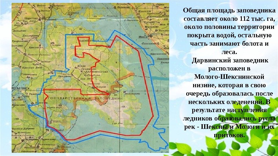 Карта заповедника завидовского заповедника