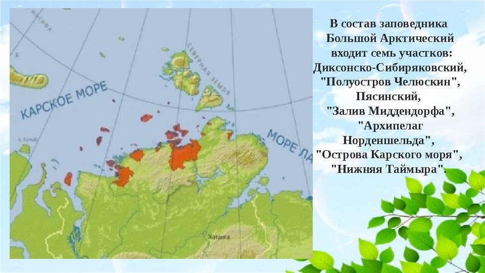 Заповедники расположенные в арктической зоне. Диксонско-Сибиряковский участок Арктический заповедник. Большой Арктический заповедник территория карта. Где находится большой Арктический заповедник на карте России. Большой Арктический заповедник на карте России.