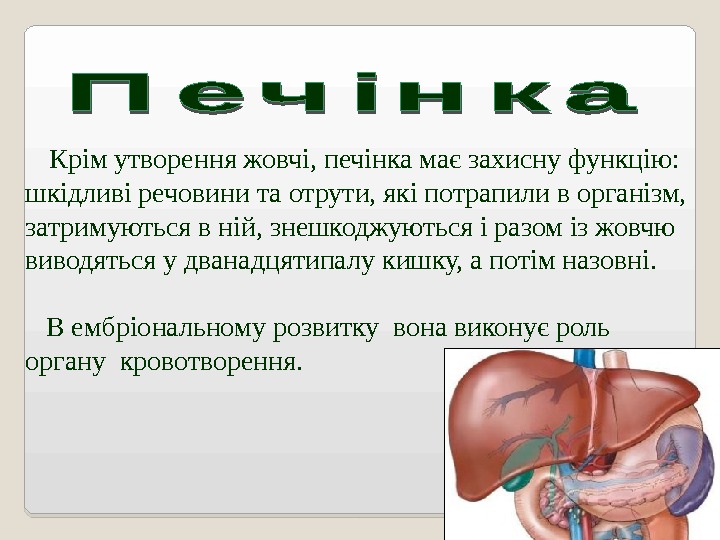   Крім утворення жовчі, печінка має захисну функцію:  шкідливі речовини та отрути,