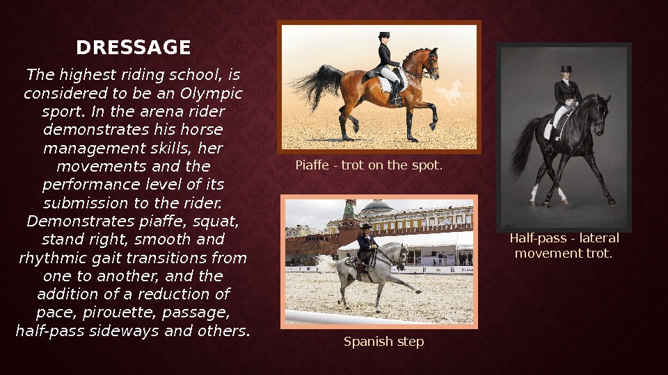 DRESSAGE The highest riding school, is considered to be an Olympic sport. In the