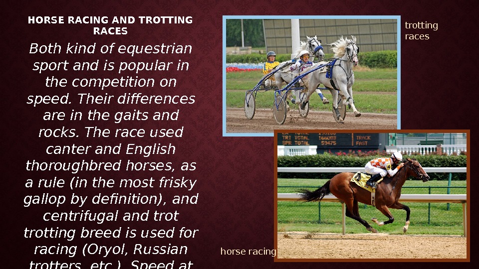 HORSE RACING AND TROTTING RACES Both kind of equestrian sport and is popular in