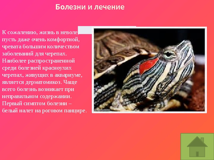 К сожалению, жизнь в неволе,  пусть даже очень комфортной,  чревата большим количеством