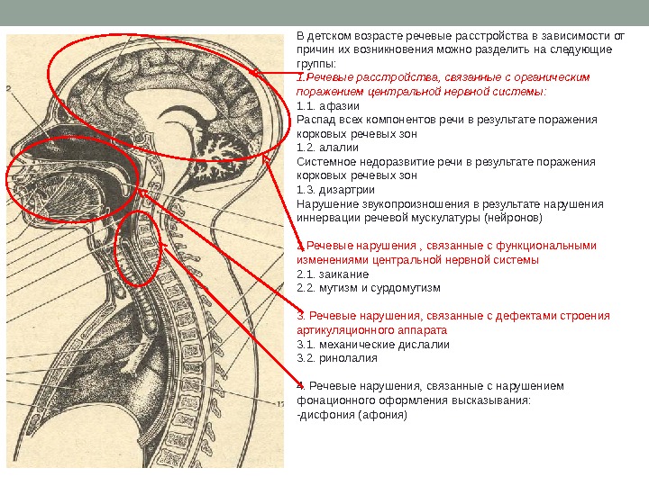 В детском возрасте речевые расстроиства в зависимости от причин их возникновения можно разделить на