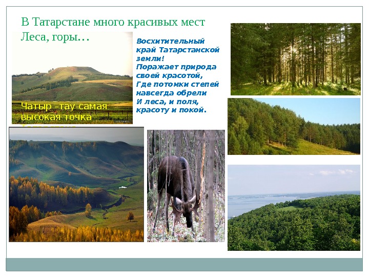 Чатыр –тау-самая высокая точка Татарстана. В Татарстане много красивых мест Леса, горы… Восхитительный край