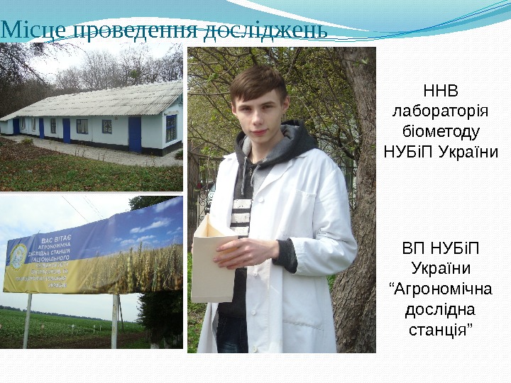  Місце проведення досліджень ННВ лабораторія біометоду НУБіП України ВП НУБіП України “Агрономічна дослідна