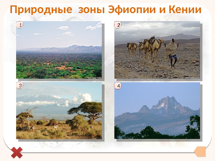 Природные зоны Эфиопии и Кении 1 2 3 4  39 3 B 45