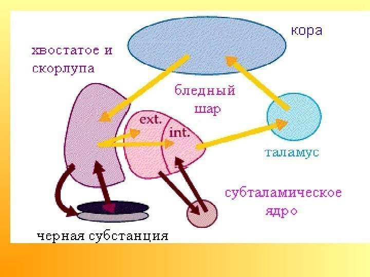 Ядра и потоки процессора в чем разница