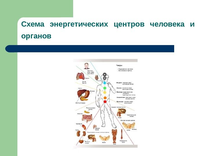 Схема энергетических центров человека и органов  