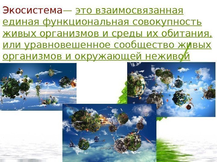 Создание экосистемы. Экосистема. Экосистема это совокупность живых организмов. Экосистема неживой природы. Экологическая система это совокупность.