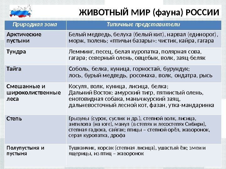 ЖИВОТНЫЙ МИР (фауна) РОССИИ Природная зона Типичные представители Арктические пустыни Белый медведь, белуха (белый