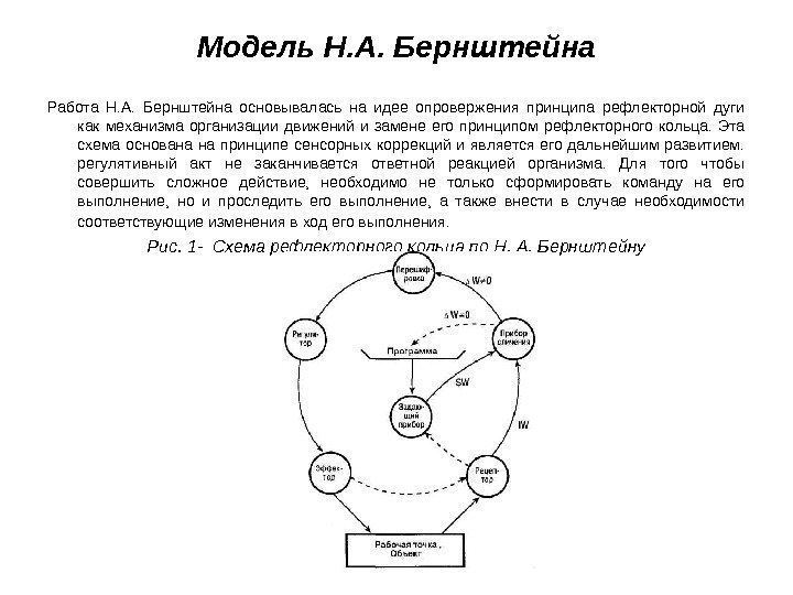 Модель Н. А. Бернштейна Работа Н. А.  Бернштейна основывалась на идее опровержения принципа