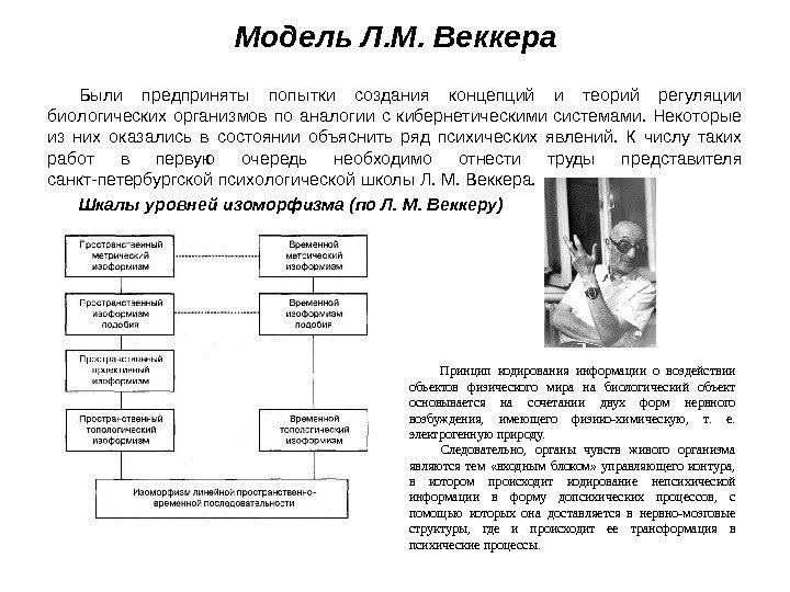 Модель Л. М. Веккера Были предприняты попытки создания концепций и теорий регуляции биологических организмов