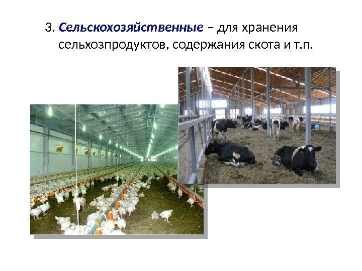 3.  Сельскохозяйственные  – для хранения сельхозпродуктов, содержания скота и т. п. 
