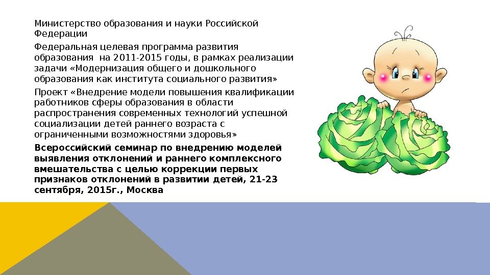 Министерство образования и науки Российской Федерации Федеральная целевая программа развития образования на 2011 -2015