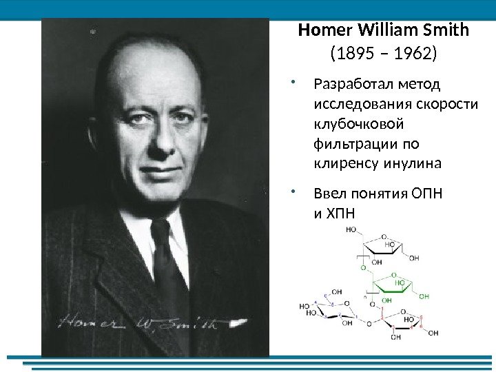 Homer William Smith (1895 – 1962) Разработал метод исследования скорости клубочковой фильтрации по клиренсу