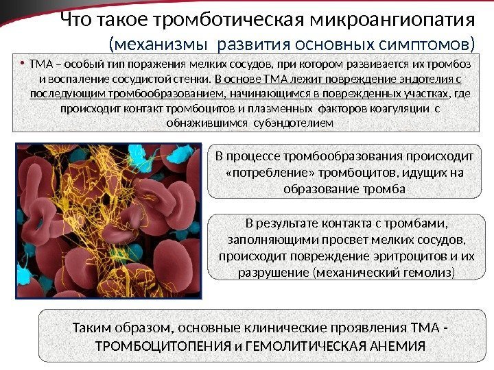 7 Что такое тромботическая микроангиопатия (механизмы развития основных симптомов) • ТМА – особый тип