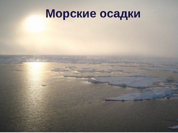 Морской осадок. Морские осадки. Морские осадки делятся на. Морские механические осадки *.