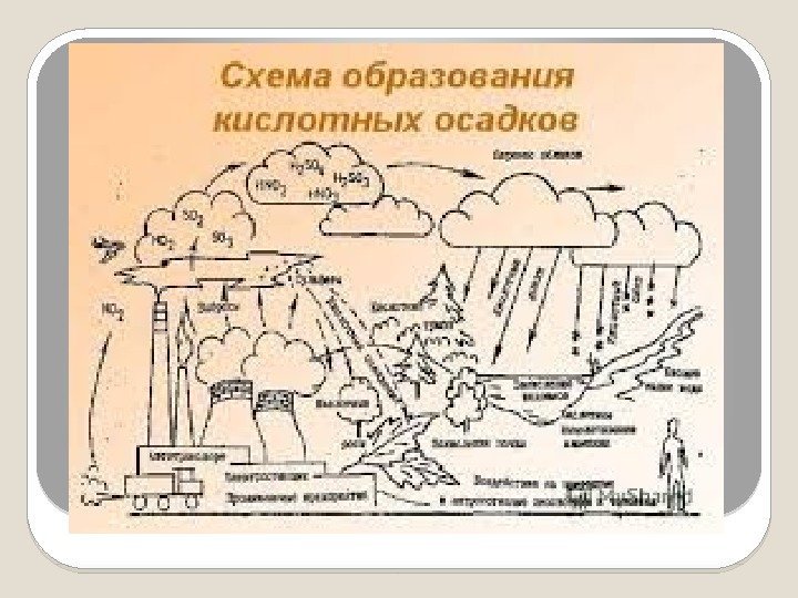 Реферат: Нітрати та нітриди та їх вплив на навколишнє середовище і організм людини