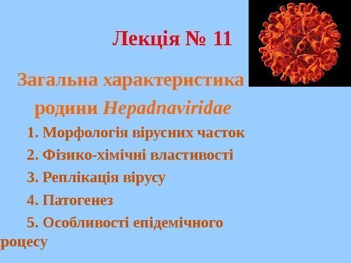   Лекція № 11 Загальна характеристика родини  Hepadnaviridae 1. Морфологія вірусних часток