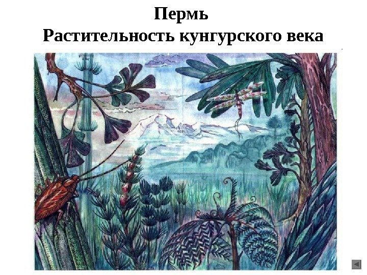 Пермь Растительность кунгурского века 