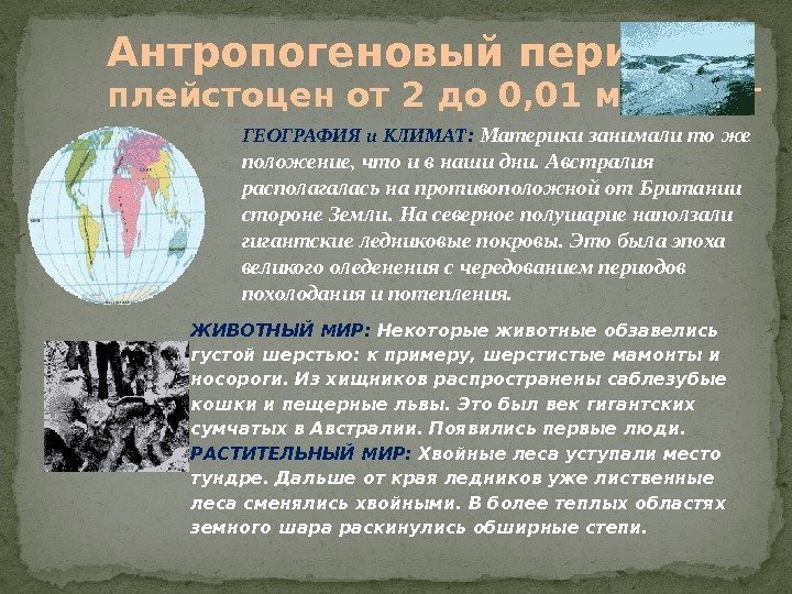 Антропогеновый период плейстоцен от 2 до 0, 01 млн. лет ЖИВОТНЫЙ МИР:  Некоторые