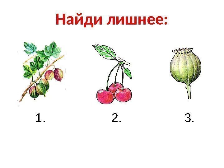 Найди лишнее:   1.    2.    3. 