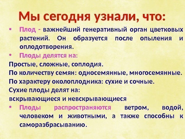 Мы сегодня узнали, что:  • Плод -  важнейший генеративный орган цветковых растений.