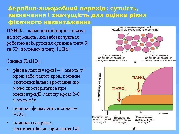 ПАНО 2 – «анаеробний поріг» , вказує на потужність, яка забезпечується роботою всіх рухових