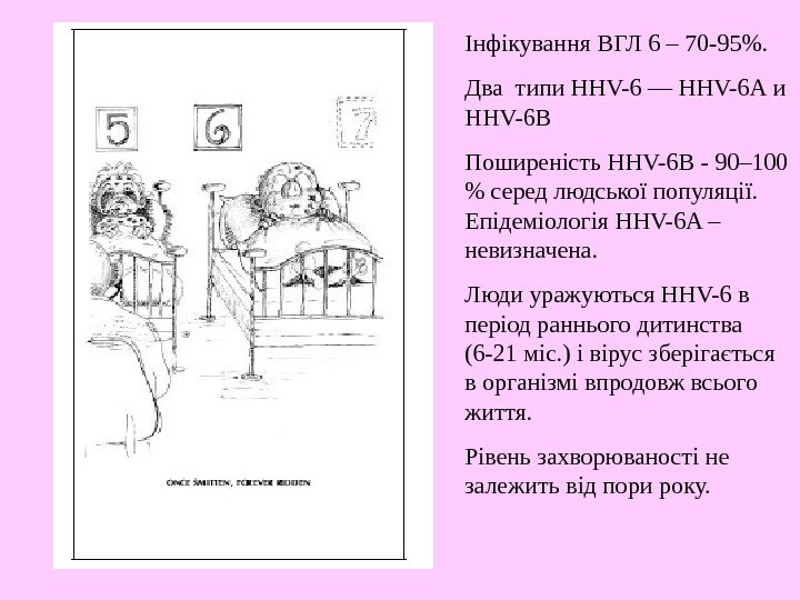   Інфікування ВГЛ 6 – 70 -95. Два типи HHV-6 — HHV-6 А