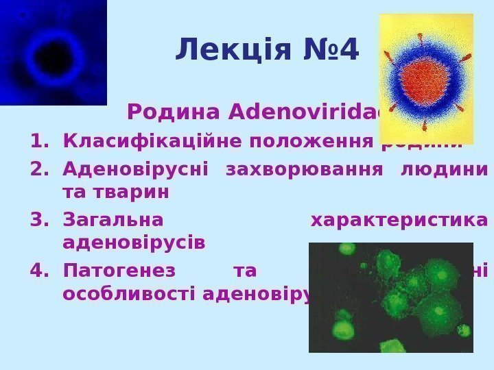   Лекція № 4 Родина Adenoviridae 1. Класифікаційне положення родини 2. Аденовірусні захворювання