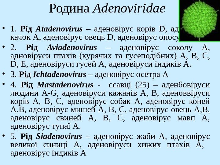   Родина Adenoviridae • 1.  Рід Atadenovirus  – аденовірус корів D