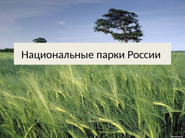 Национальные парки России 