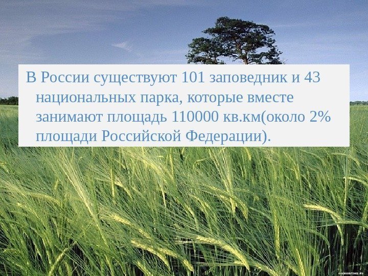  В России существуют 101 заповедник и 43 национальных парка, которые вместе занимают площадь