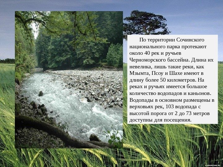   По территории Сочинского национального парка протекают около 40 рек и ручьев Черноморского