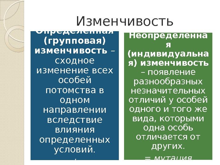 Изменчивость Определенная (групповая) изменчивость – сходное изменение всех особей потомства в одном направлении вследствие