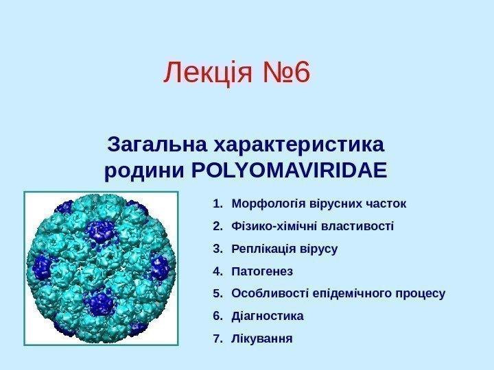   Лекція № 6 Загальна характеристика родини POLYOMAVIRIDAE 1. Морфологія вірусних часток 2.