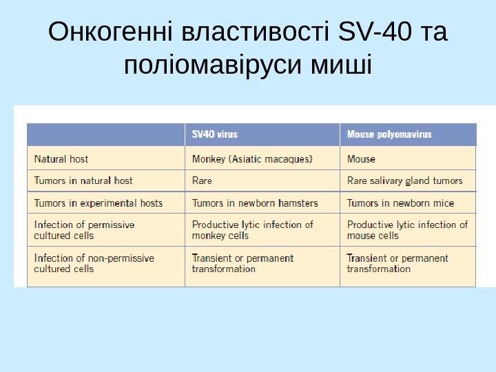   Онкогенні властивості SV-40 та поліомавіруси миші 