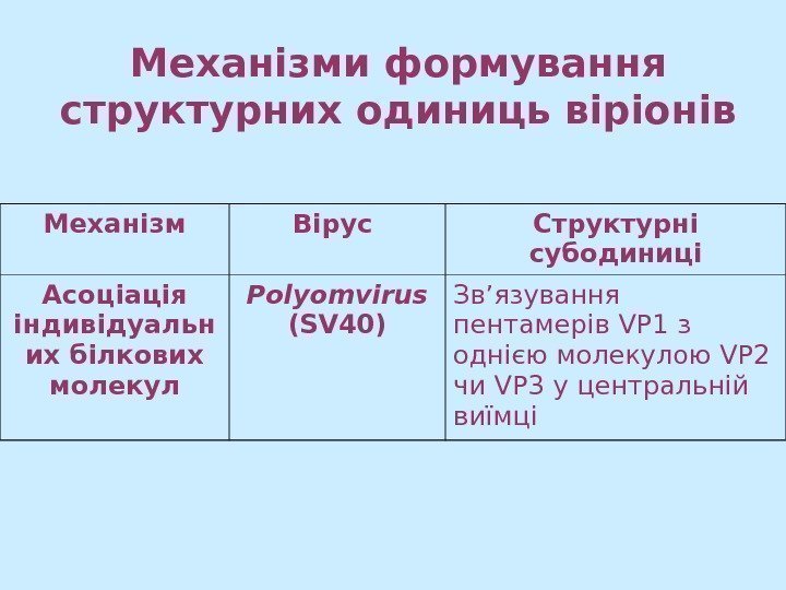   Механізм Вірус Структурні субодиниці Асоціація індивідуальн их білкових молекул Polyomvirus  (SV