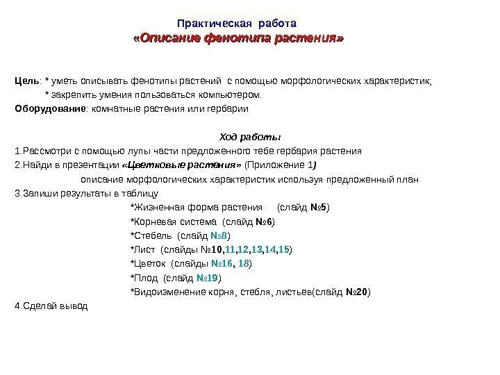   Практическая работа  «Описание фенотипа растения» Цель : * уметь описывать фенотипы