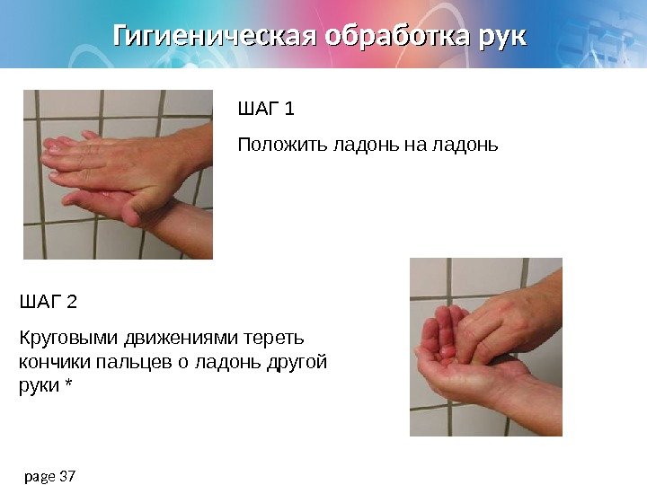 Гигиеническая обработка рук page 37 ШАГ 2 Круговыми движениями тереть кончики пальцев о ладонь