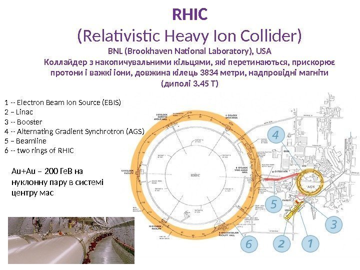 RHIC (Relativistic Heavy Ion Collider) BNL (Brookhaven National Laboratory), USA Коллайдер з накопичувальними кільцями,