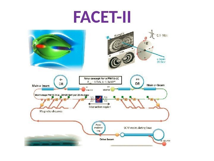 FACET-II 